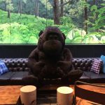 Produsen Badut Maskot Giant Gorilla untuk Kafe di Bandung