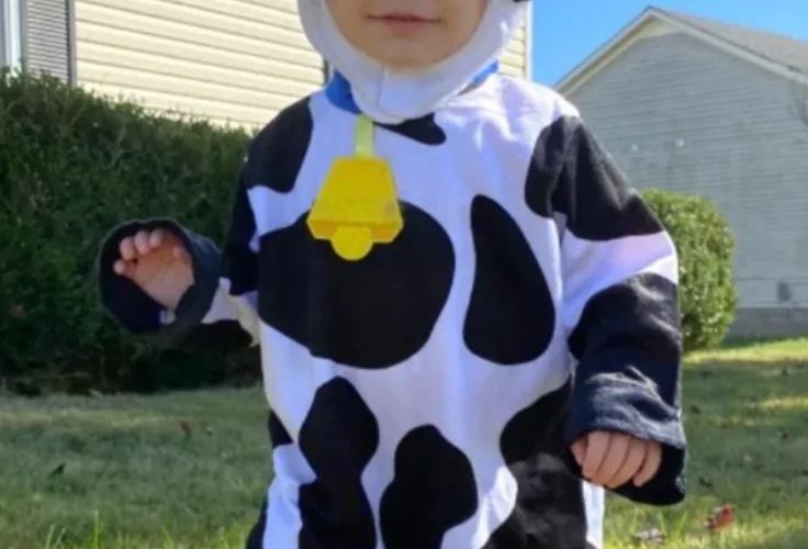 Kostum Bayi Karakter Binatang