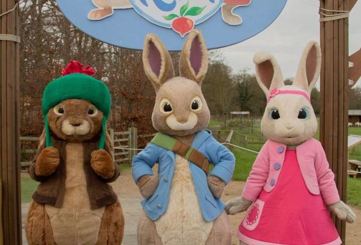 Kostum Badut Kelinci Peter untuk Event Skala Besar