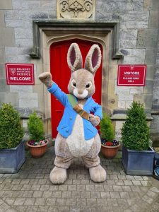 Kostum Badut Kelinci Peter untuk Event Skala Besar