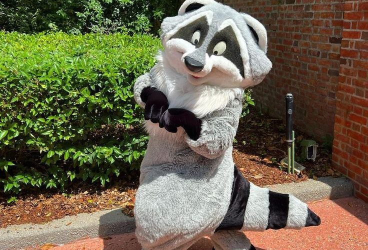 Kostum Badut Rakun Menggemaskan untuk Event Besar