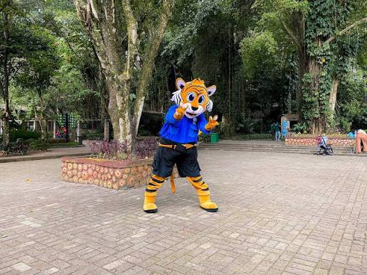 Pengrajin Badut Bon Bon Bandung Zoo untuk Maskot Event dan Promosi