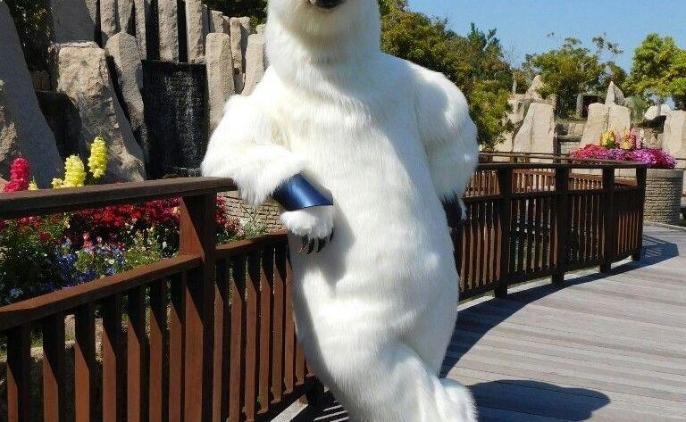 Kostum Badut Beruang Kutub